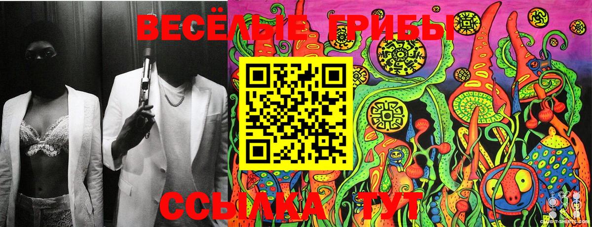 Тихорецк  Галлюциногенные грибы Cubensis  Вход с VPN 